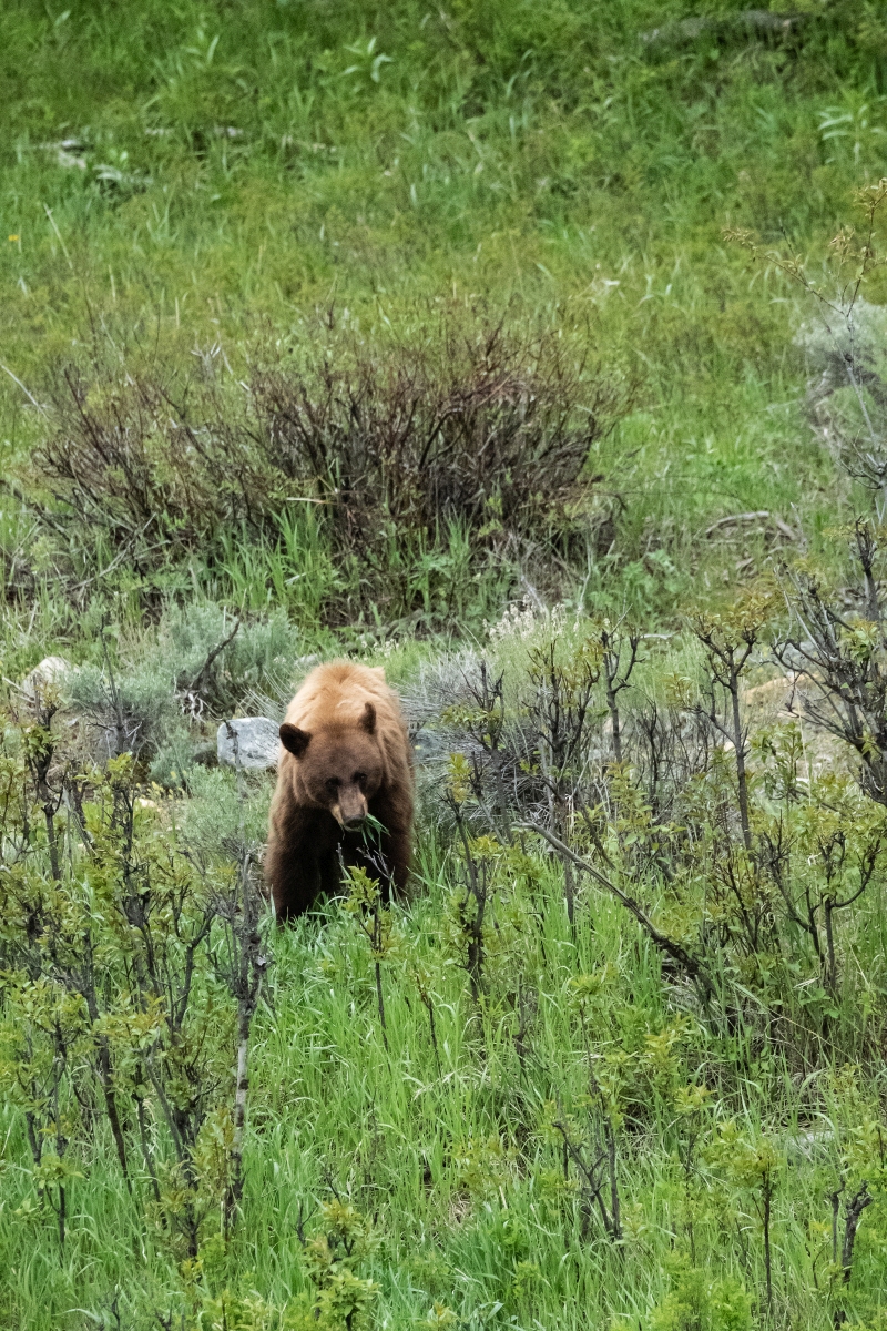 DSC_2673.jpg