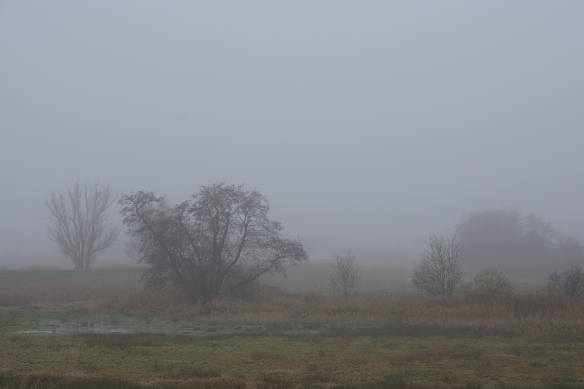 DSC_2676.JPG