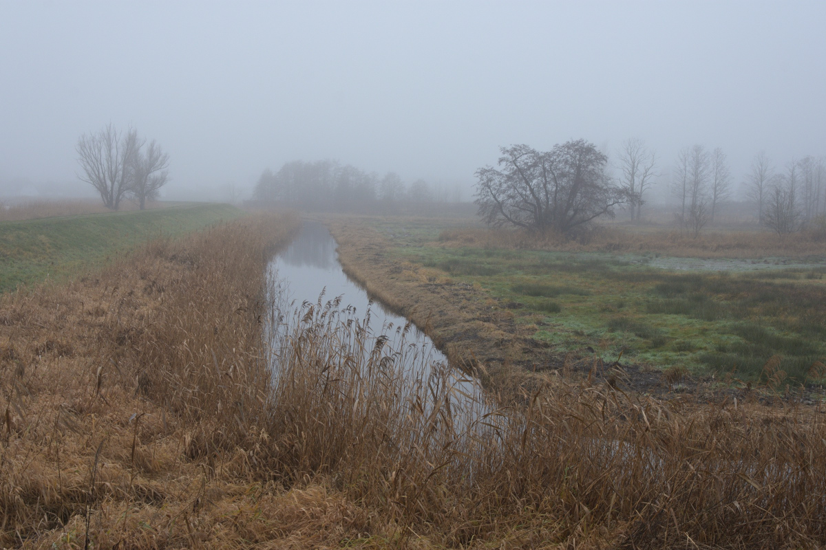 DSC_2678.JPG