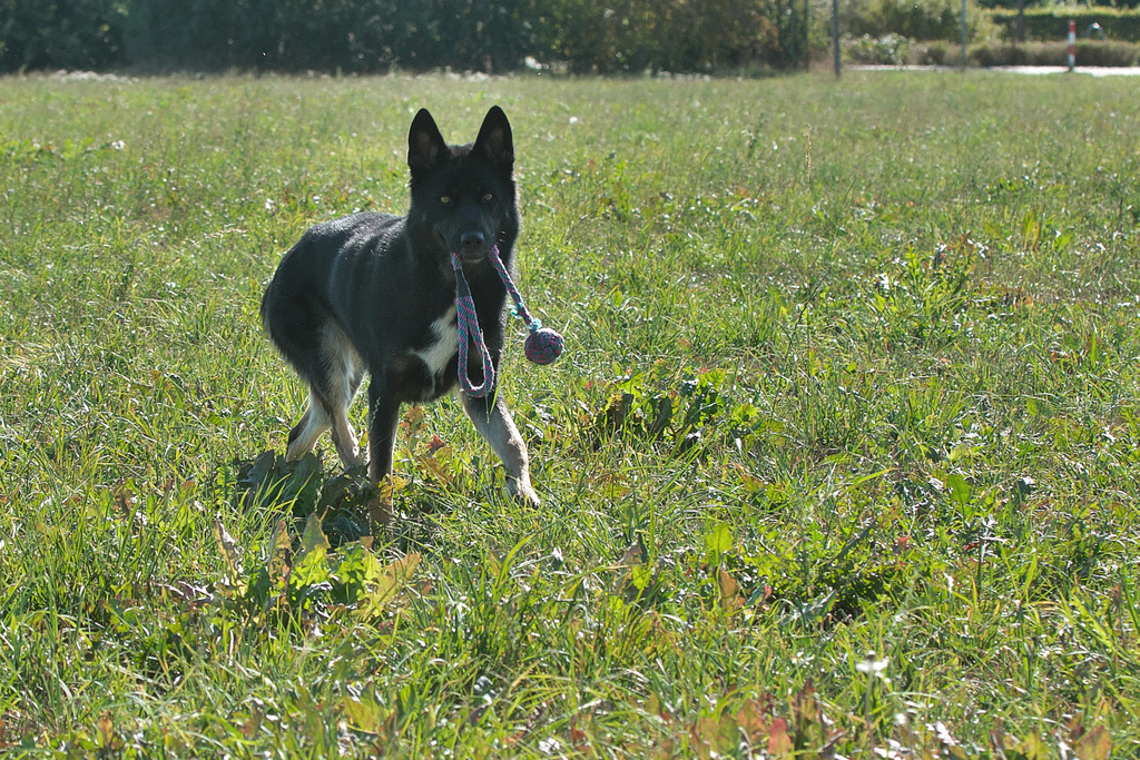 DSC_2698.jpg