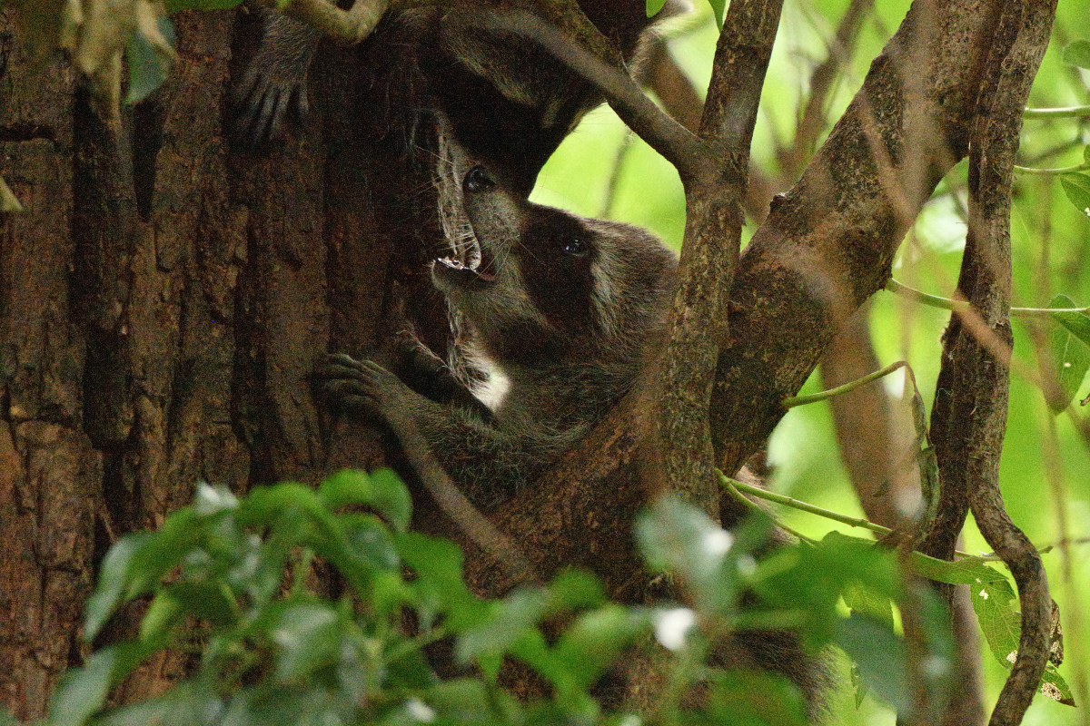DSC_2706.JPG
