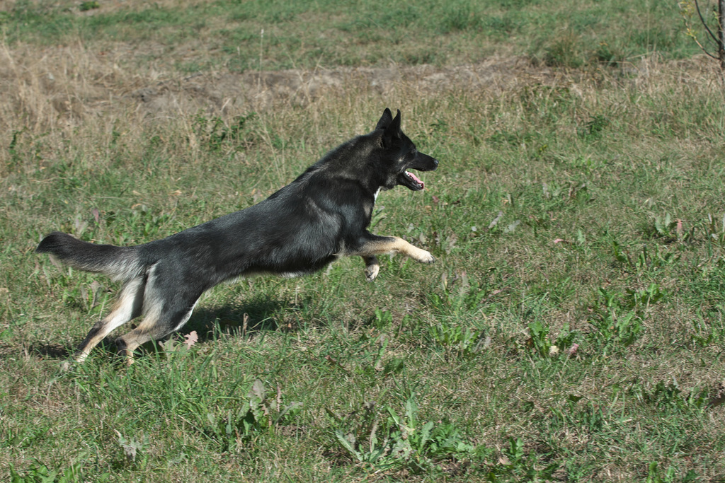 DSC_2713.jpg