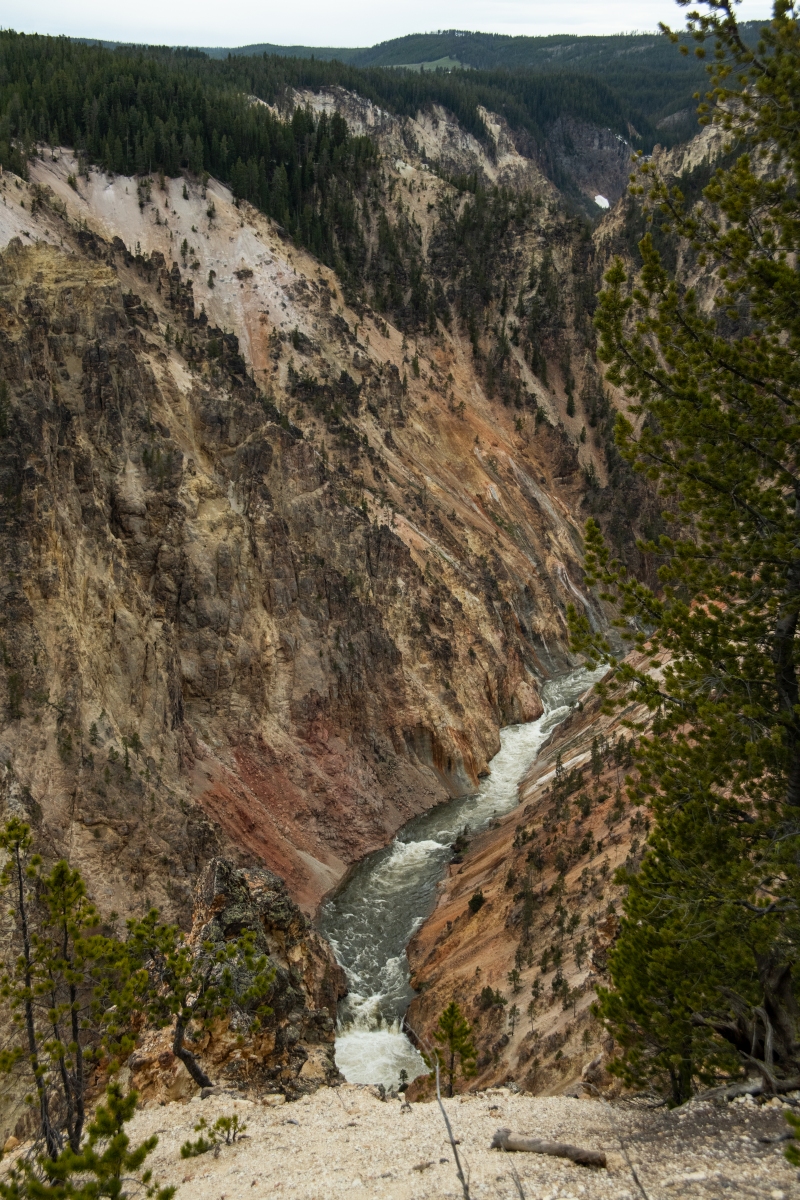 DSC_2734.jpg