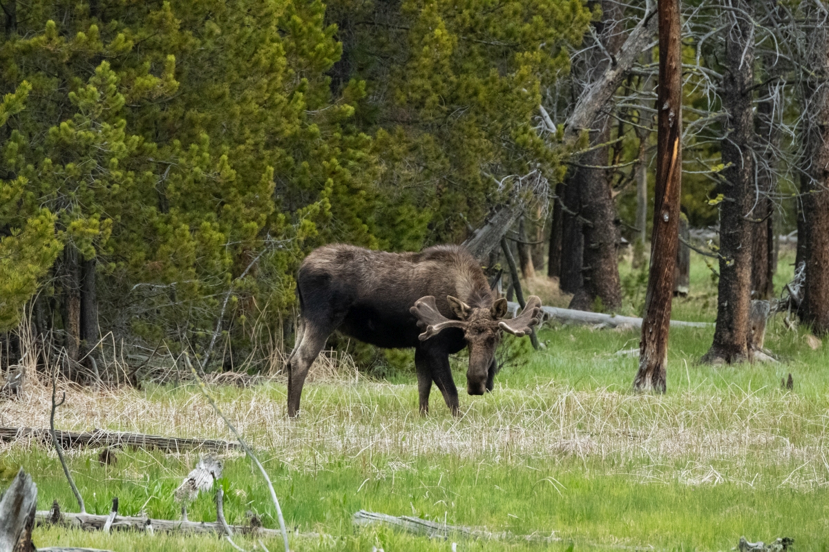 DSC_2738.jpg
