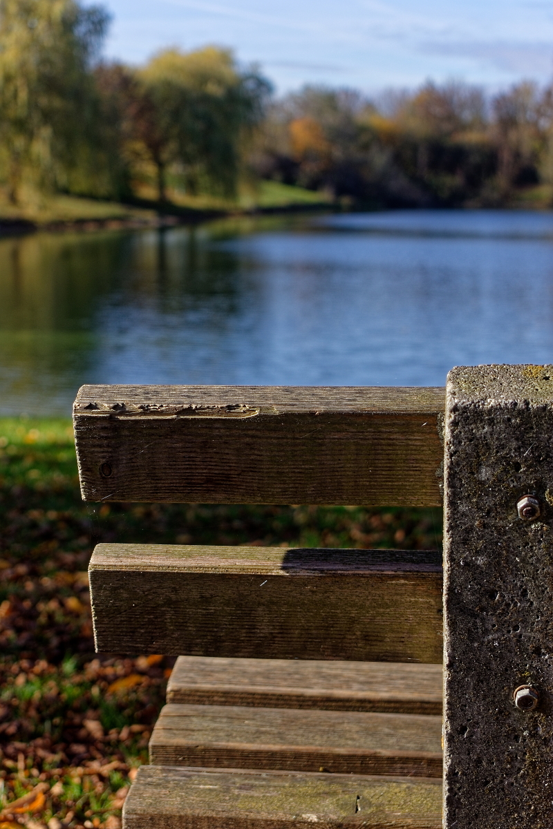 DSC_2767_DxO.jpg