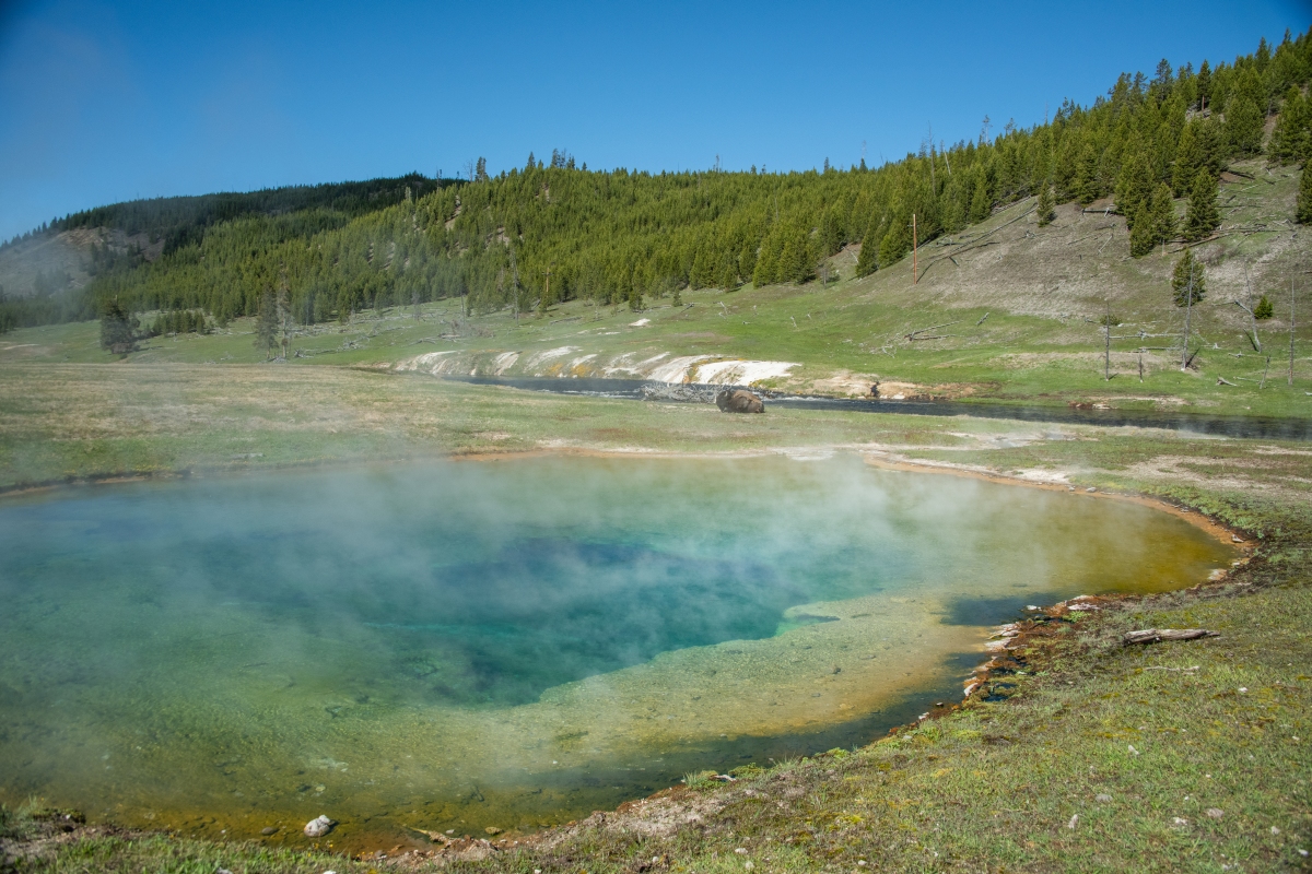 DSC_2784.jpg