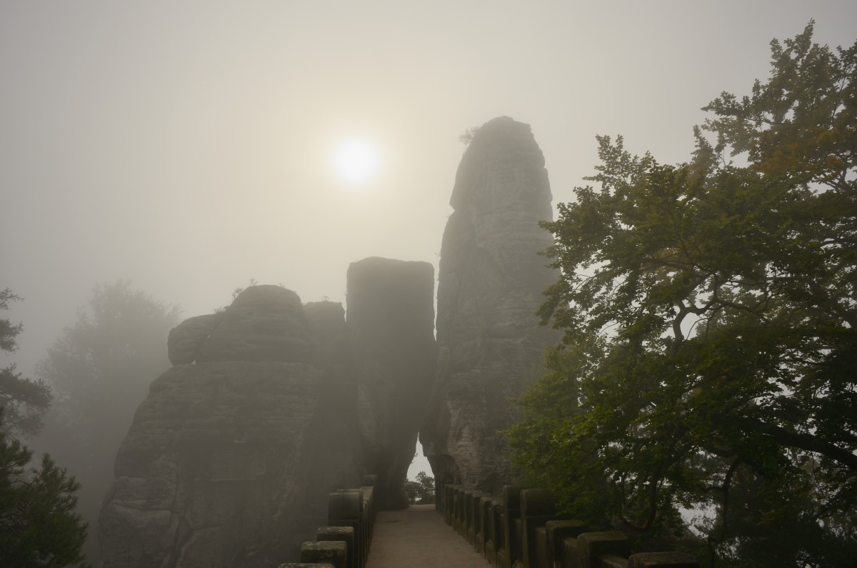 DSC_2784_00001_06n.jpg