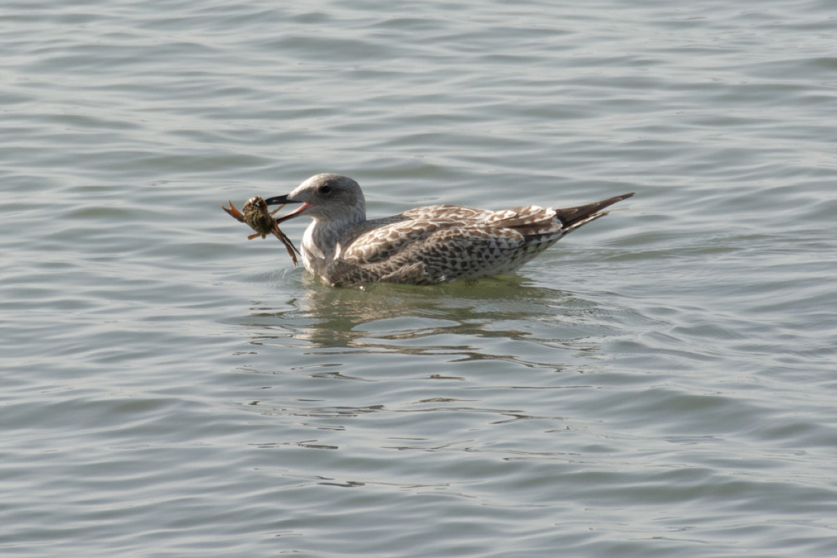 DSC_2786_DxO_DxO.jpg