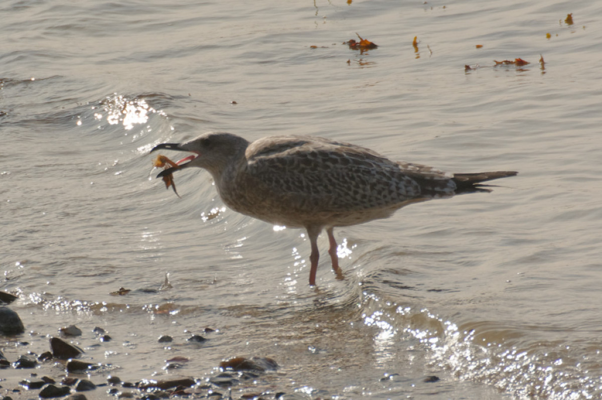 DSC_2787_DxO_DxO.jpg