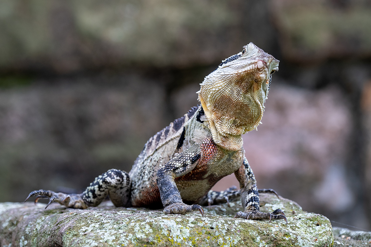 DSC_2837.jpg