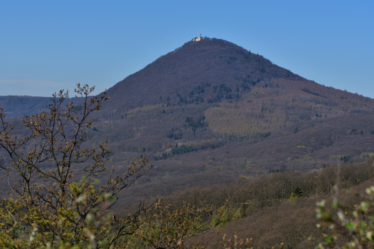 DSC_2845_00001n.jpg