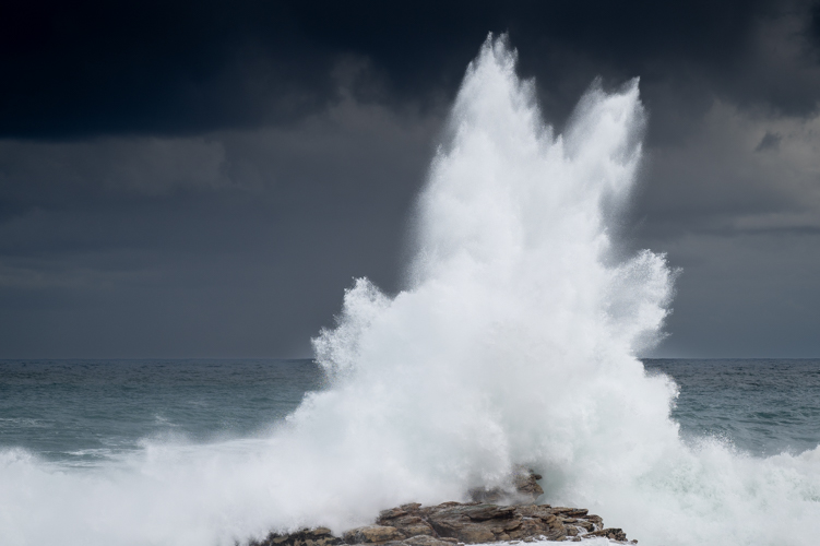 DSC_2848.jpg