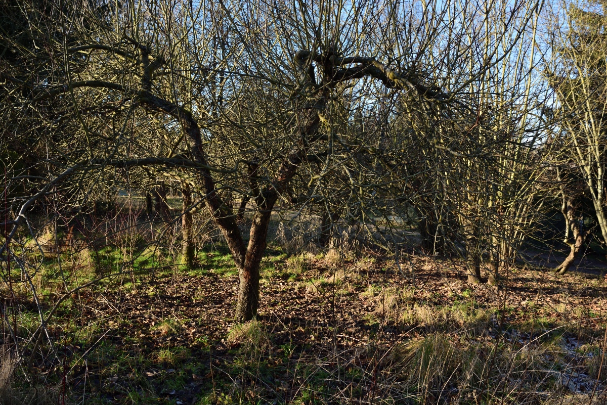 DSC_2863_00001n.jpg