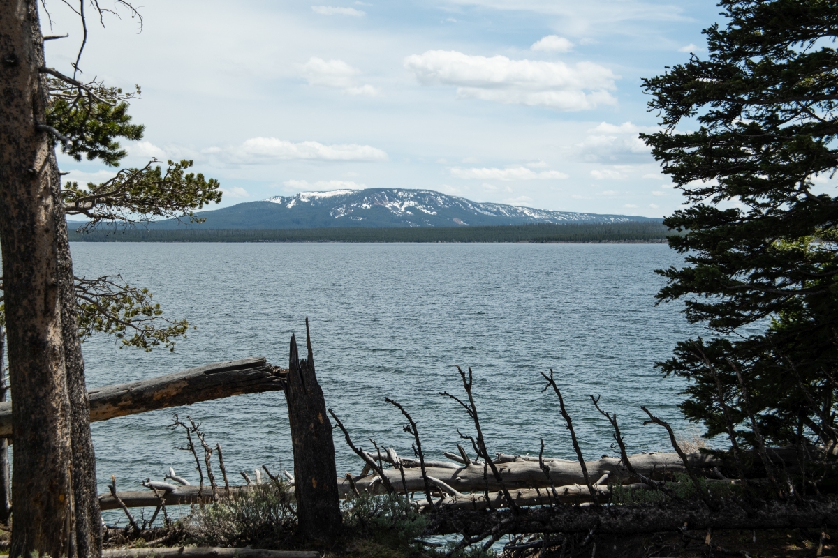 DSC_2867.jpg