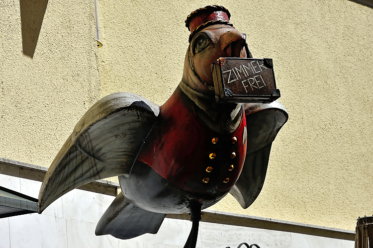 DSC_2882.jpg