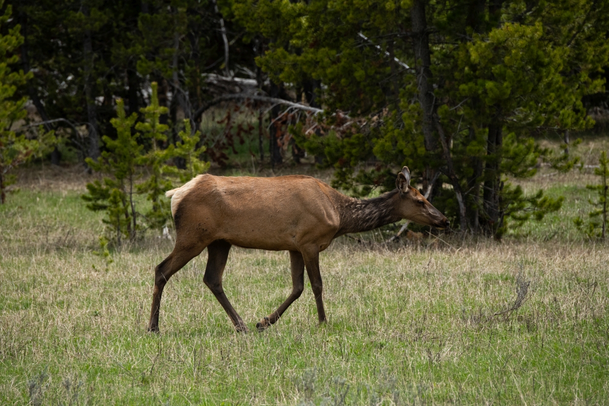 DSC_2884.jpg
