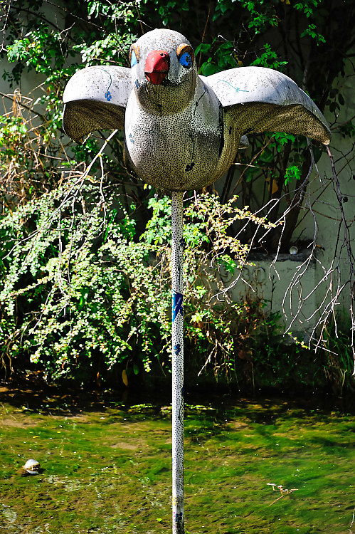 DSC_2896.jpg