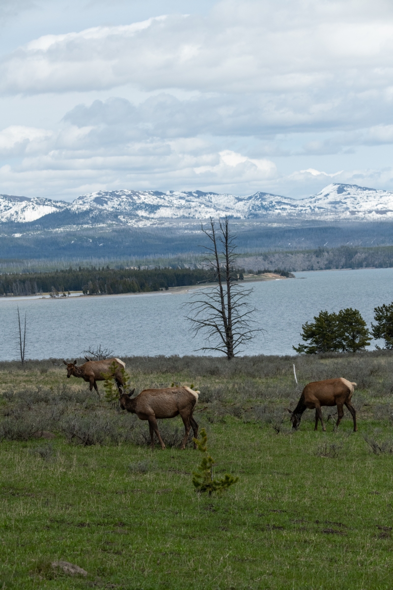 DSC_2896.jpg