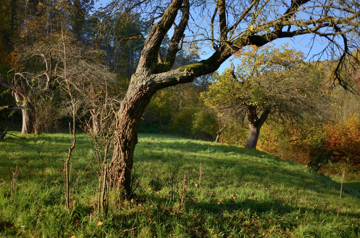 DSC_2902_00001n.jpg