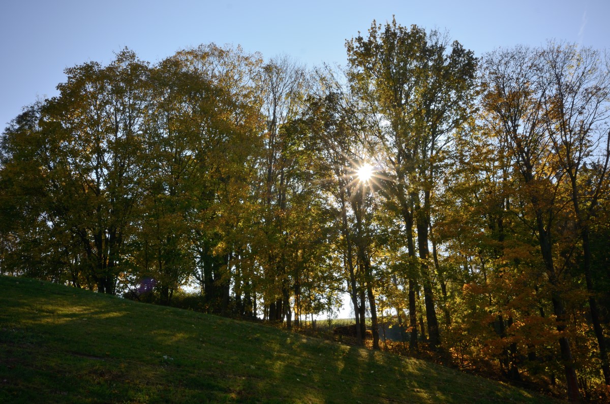 DSC_2911_00001n.jpg