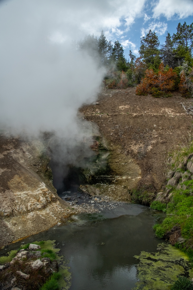 DSC_2914.jpg