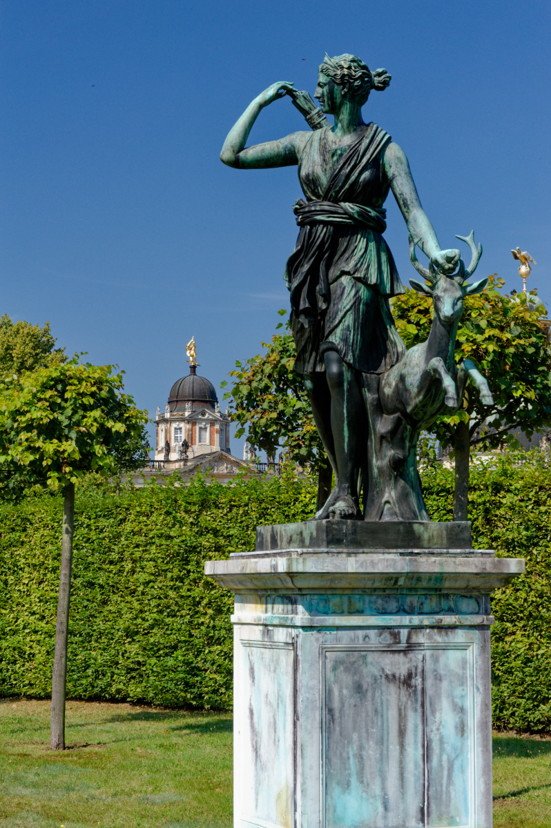 DSC_2924.jpg