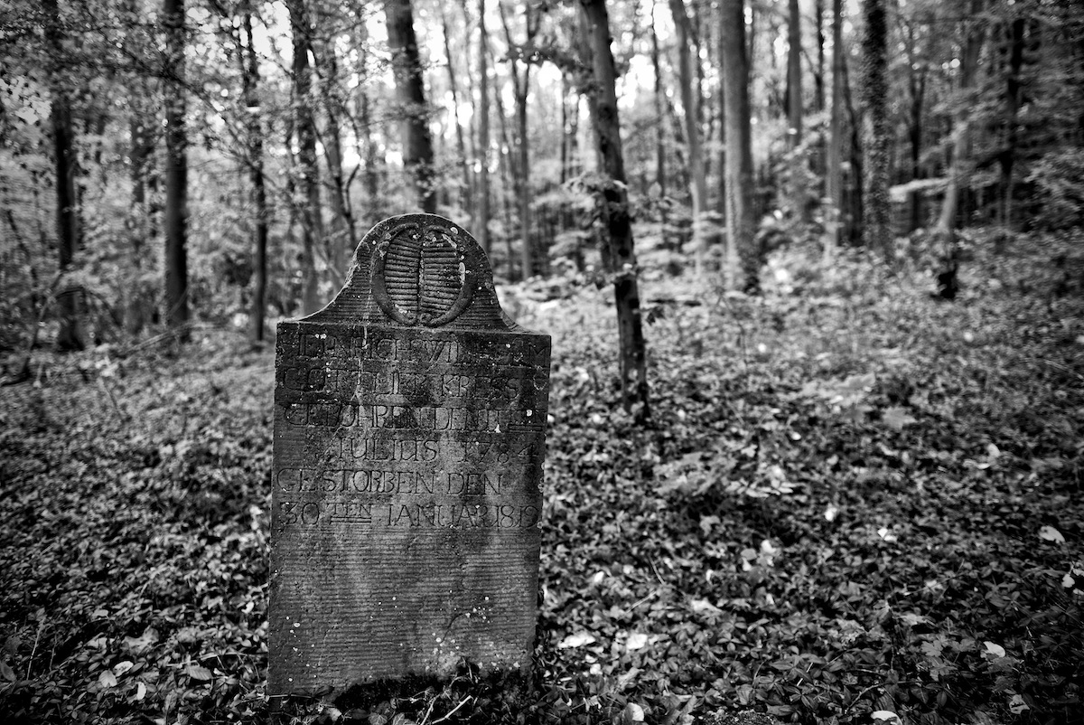 DSC_2928.jpeg