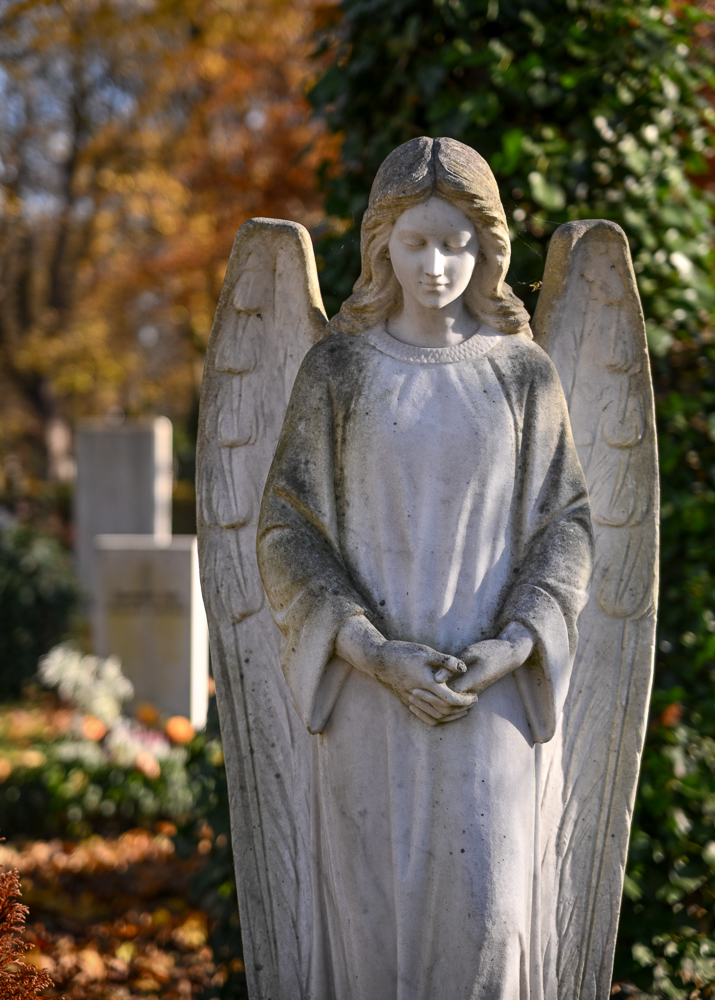 DSC_2940.jpg