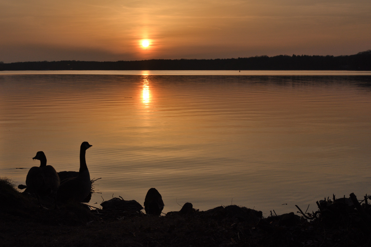 DSC_2949.JPG
