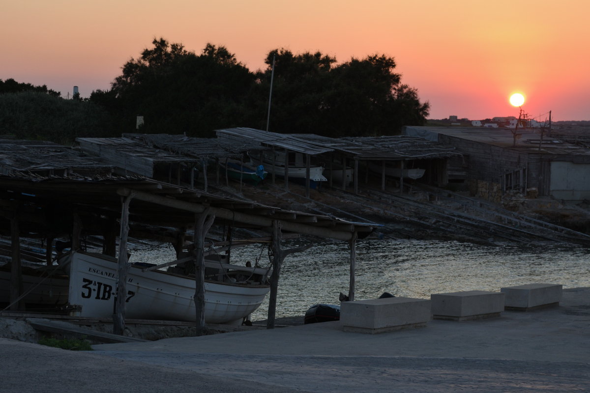 DSC_2971.JPG