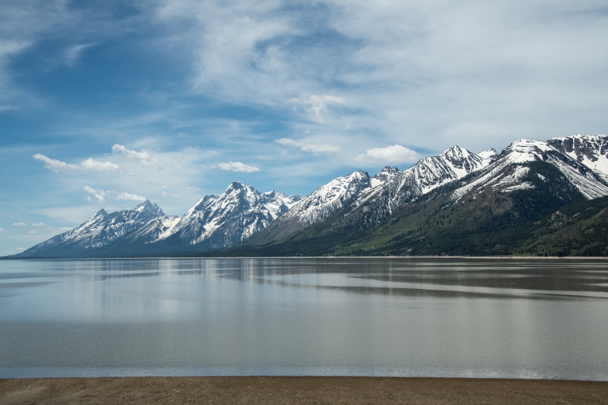 DSC_2973.jpg