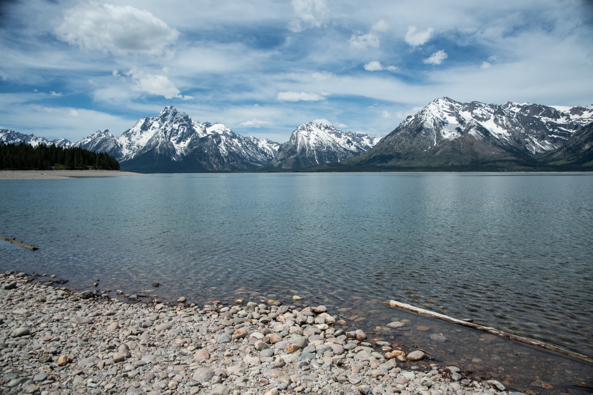 DSC_2977.jpg