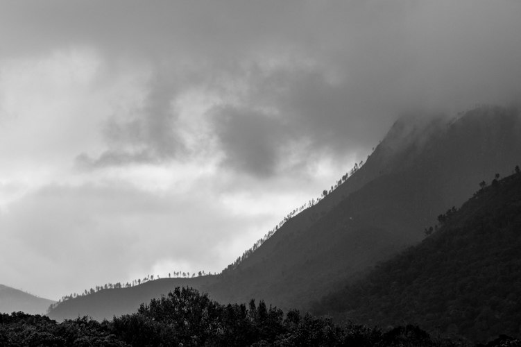 DSC_2984.jpg