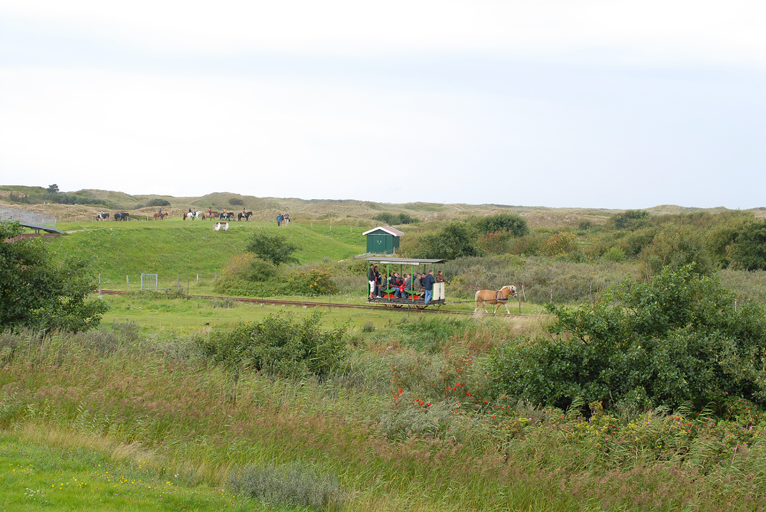 DSC_3010.jpg