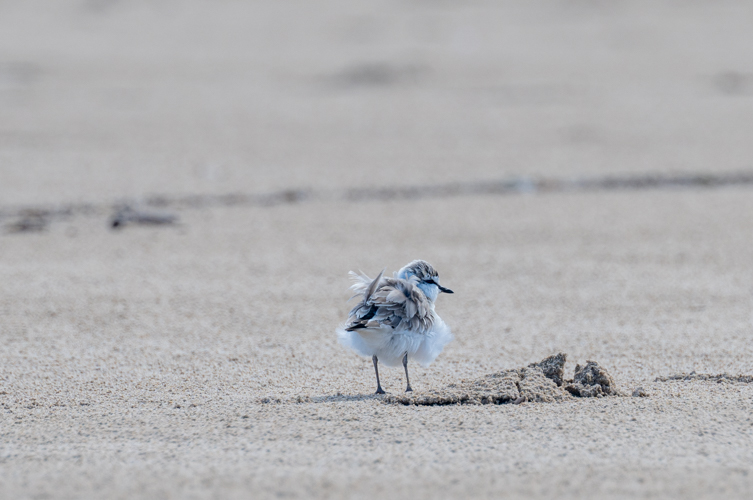 DSC_3029.jpg