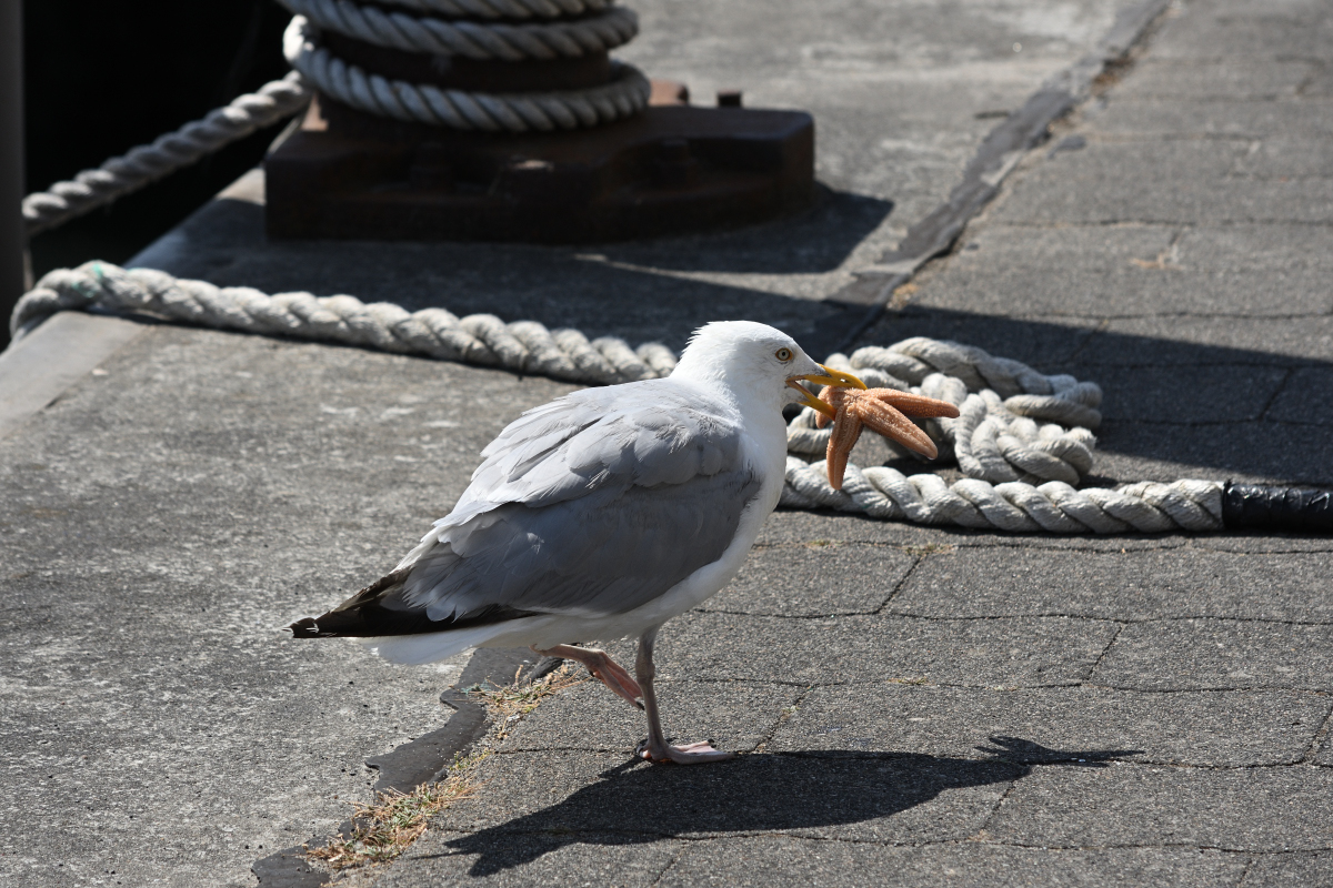 DSC_3040.JPG