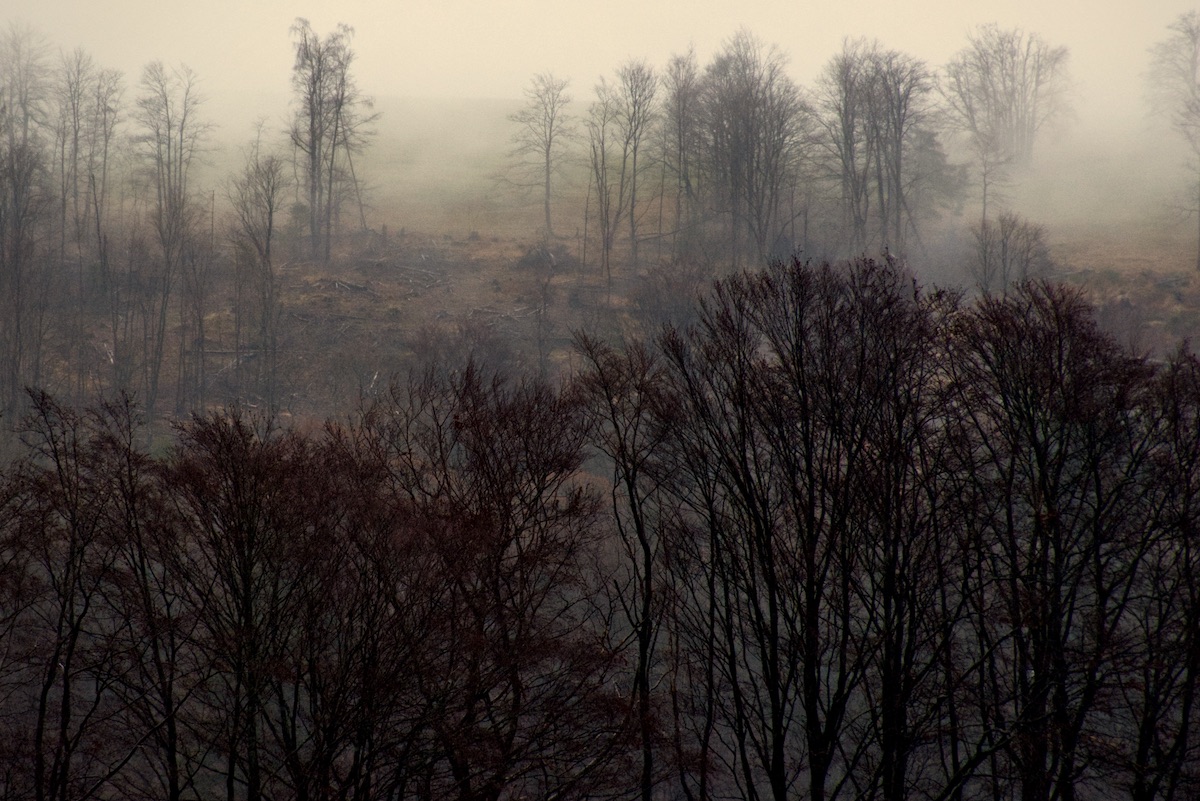 DSC_3045.jpeg
