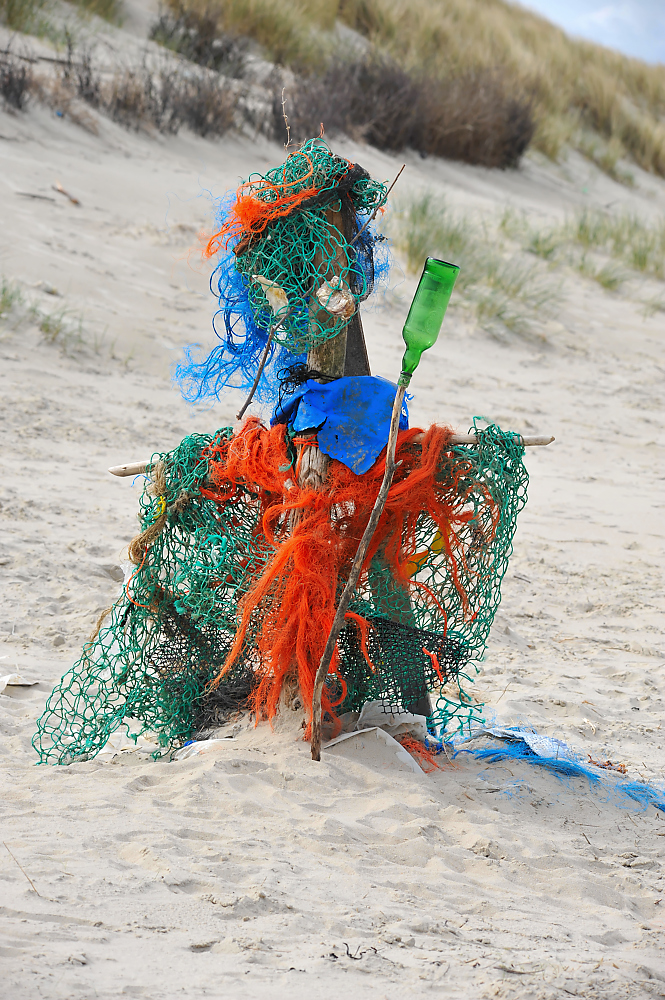DSC_3107b.jpg