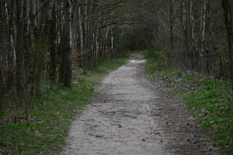 DSC_3134.jpg