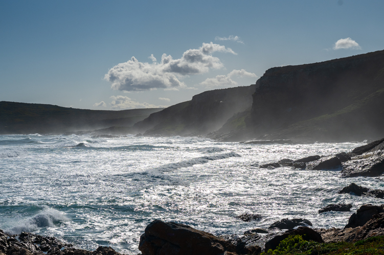 DSC_3145.jpg
