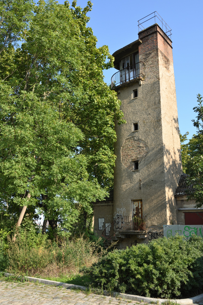 DSC_3181.JPG