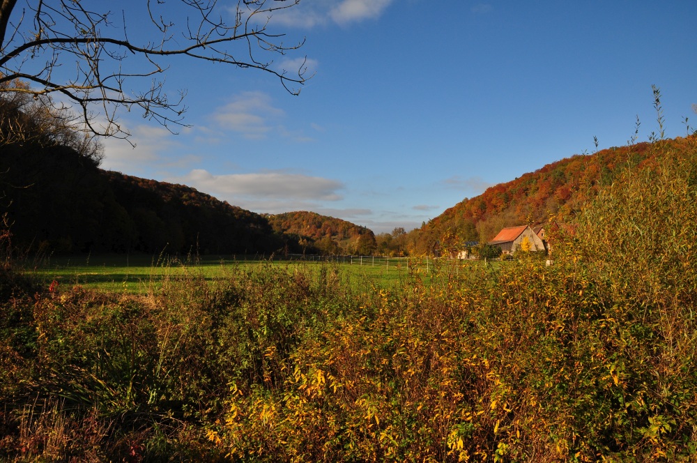 DSC_3214.jpg