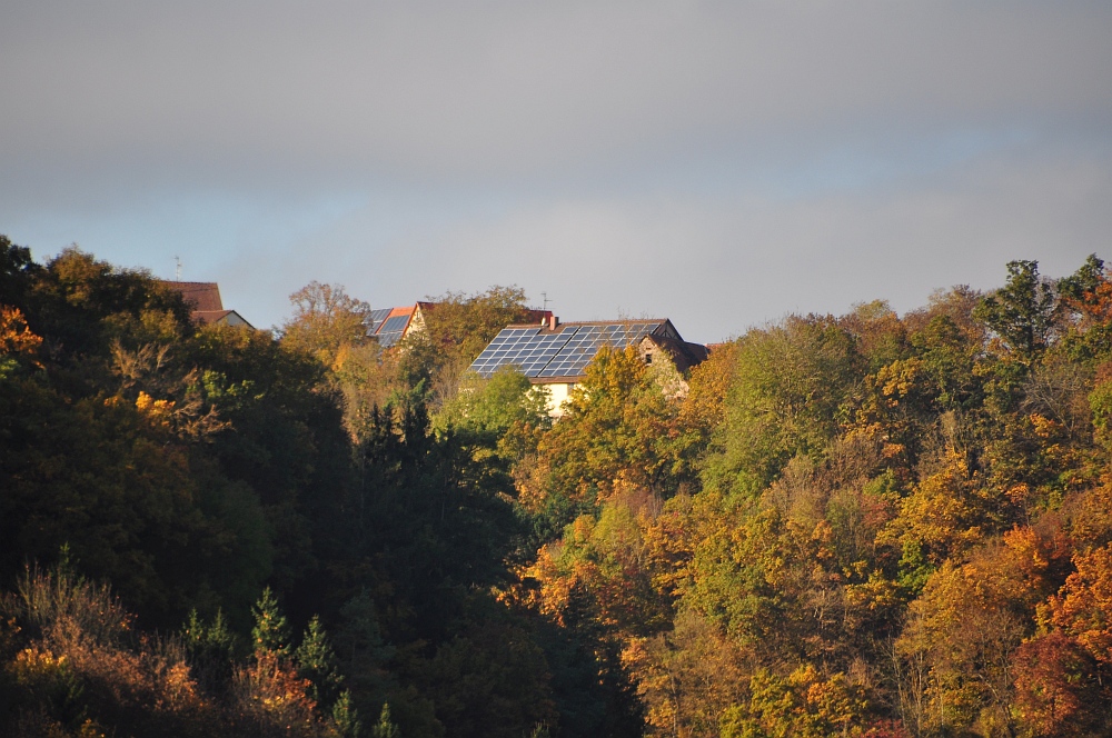 DSC_3215.jpg