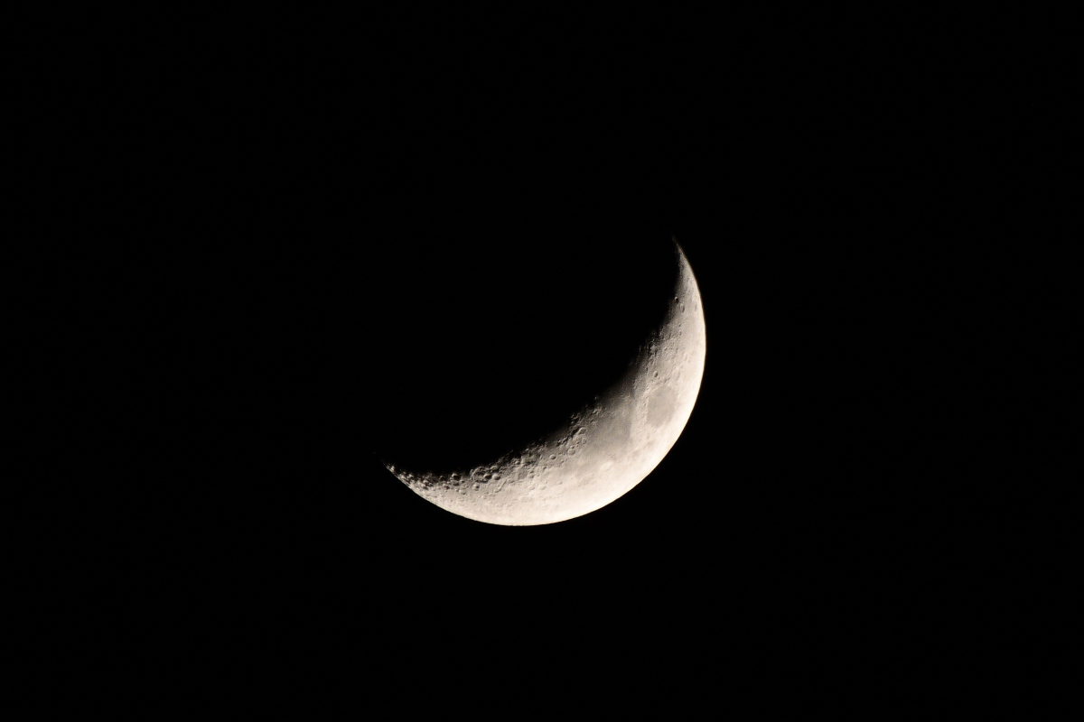 DSC_3234.JPG