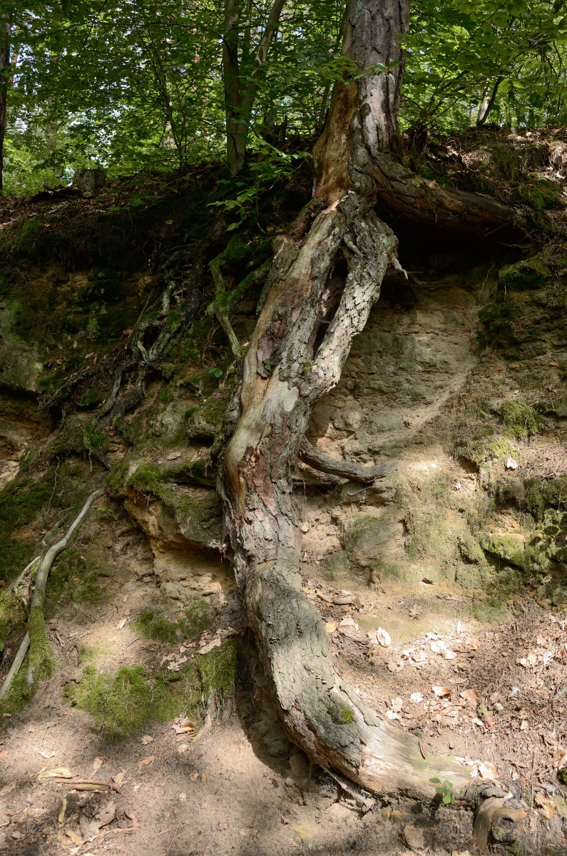 DSC_3267_00001n.jpg