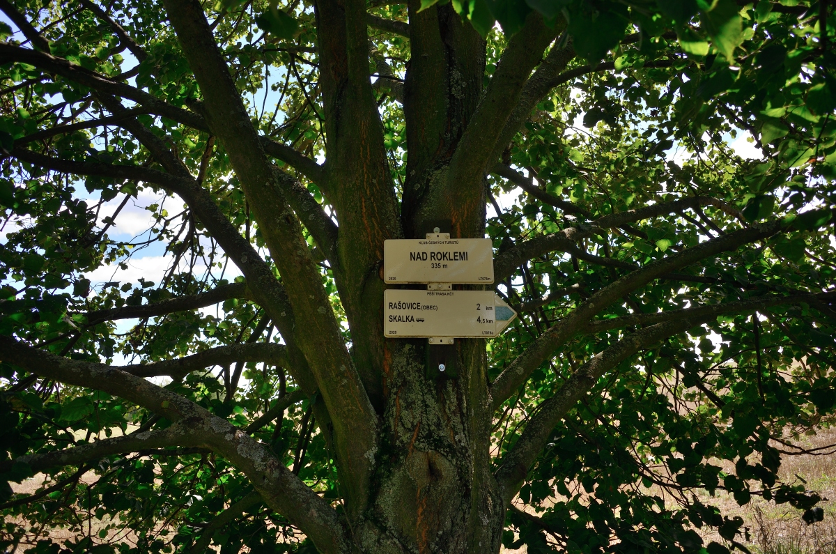DSC_3273_00001n.jpg