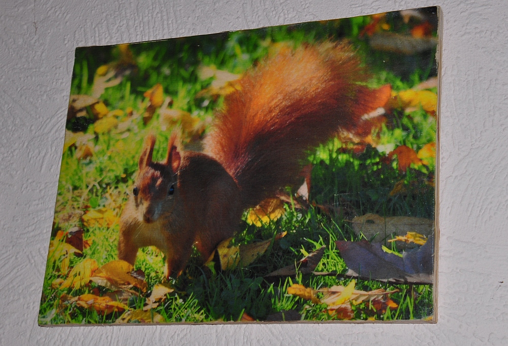 DSC_3297.jpg