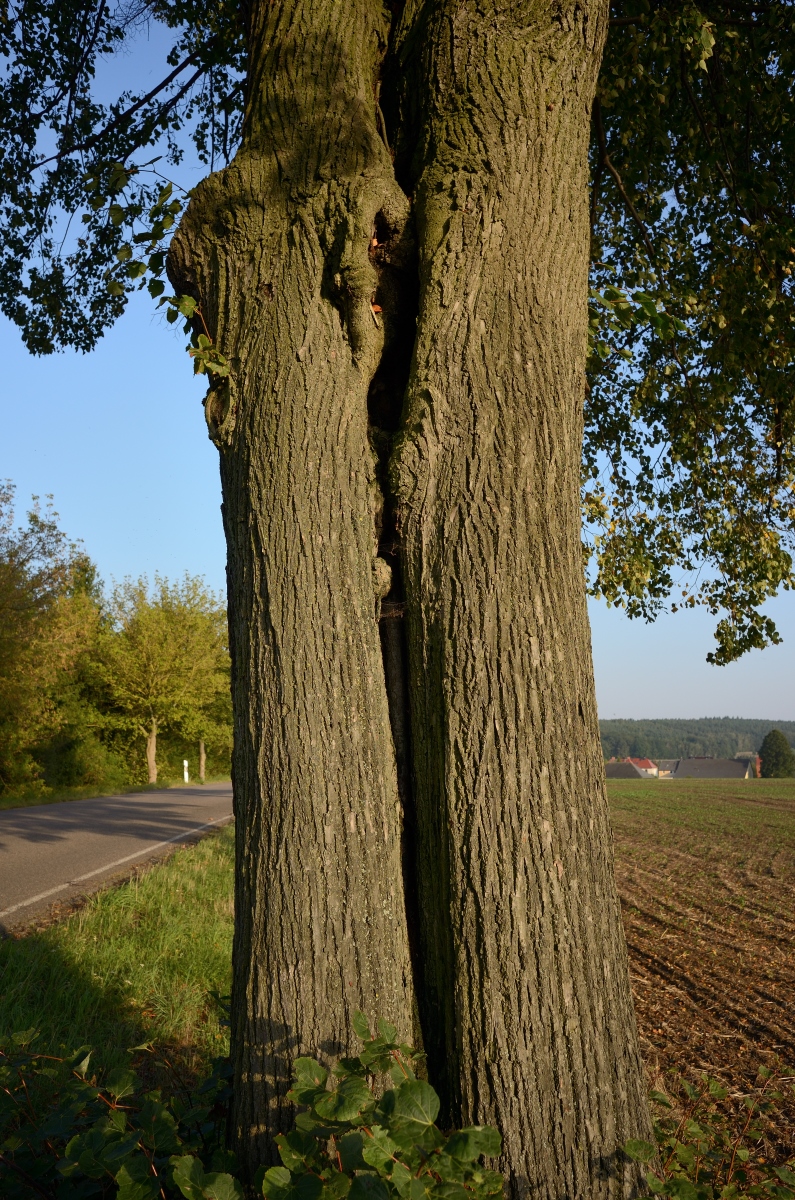 DSC_3308_00001n.jpg