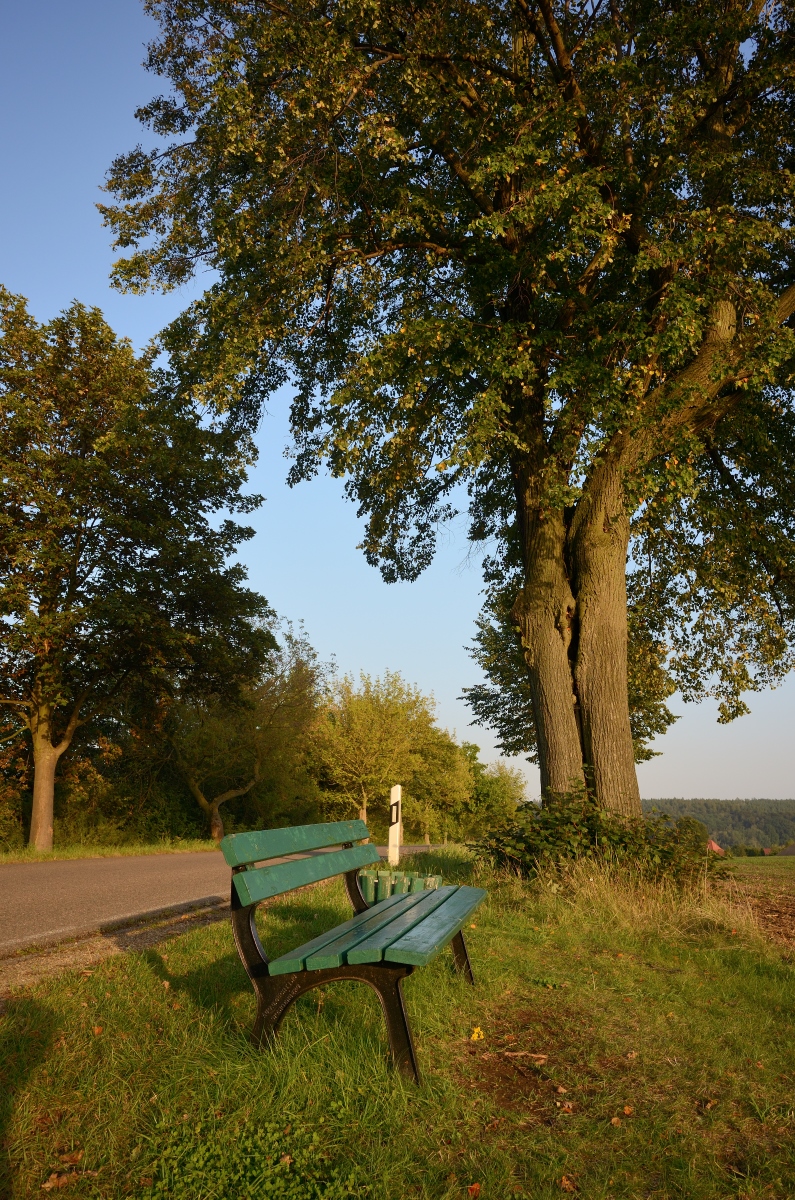 DSC_3310_00001n.jpg