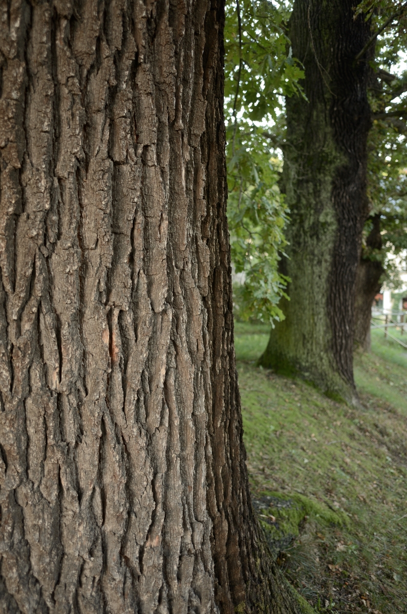 DSC_3322_00001n.jpg